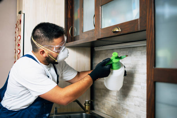 Best Pest Inspection Near Me  in Country Clu, MO