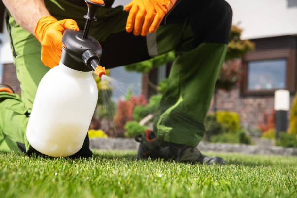 Best Affordable Pest Control Services  in Country Clu, MO