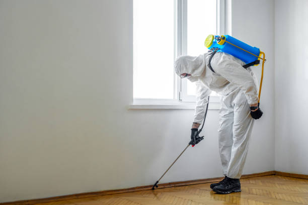 Best Best Pest Control Companies  in Country Clu, MO