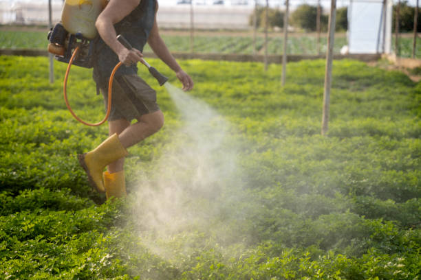 Pest Control for Restaurants in Country Clu, MO