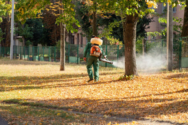 Best Affordable Pest Control Services  in Country Clu, MO