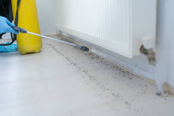Best Commercial Pest Control Services  in Country Clu, MO
