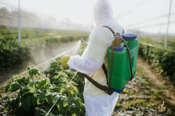 Reliable Country Clu, MO Pest Control Solutions